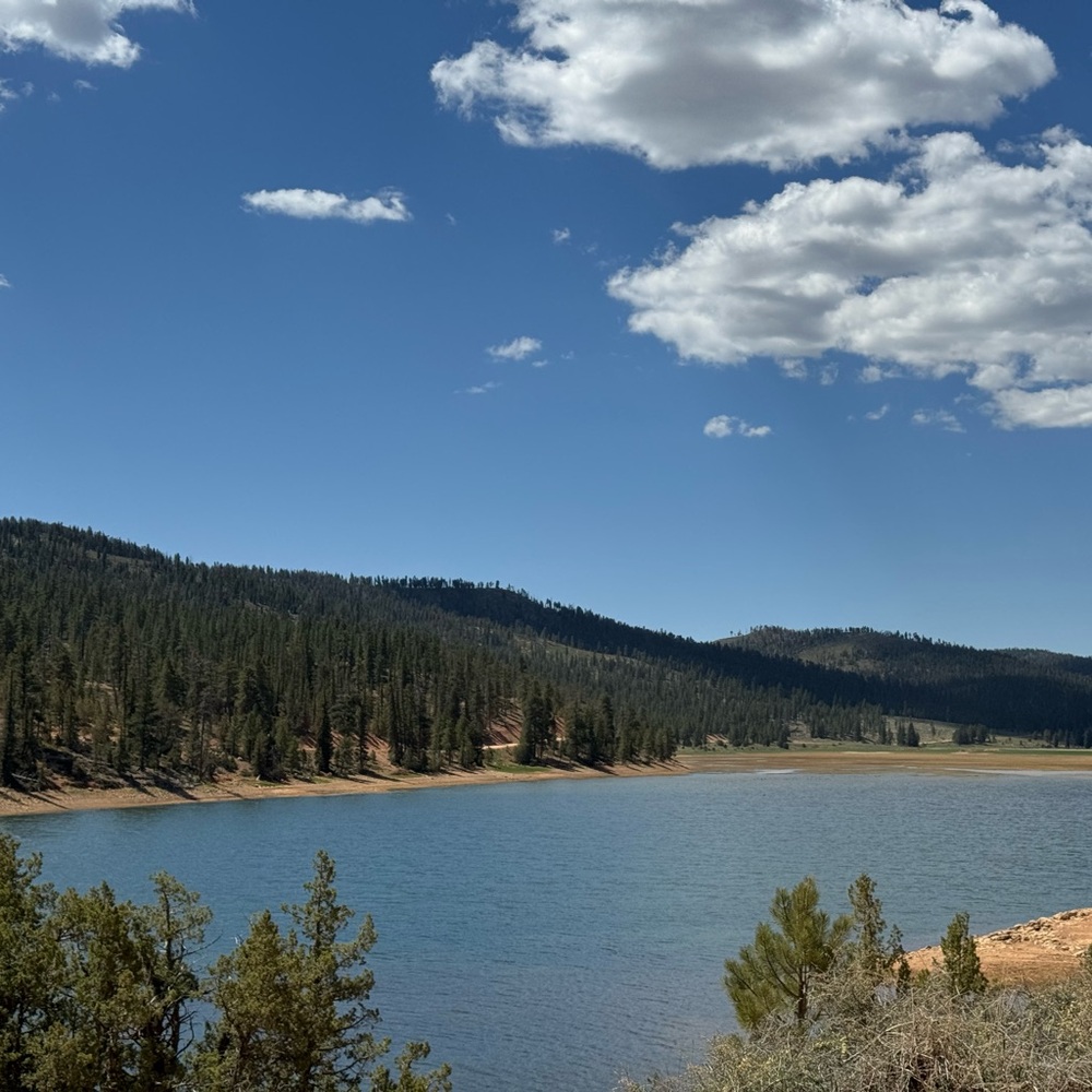 ⚠️QVC AS IS LIVE SHOW LISTING!! *Items will have various degrees of damage. - Picture 6 of 14